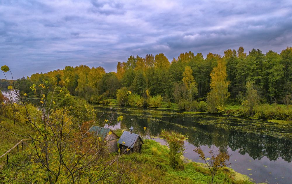 Теза осенняя