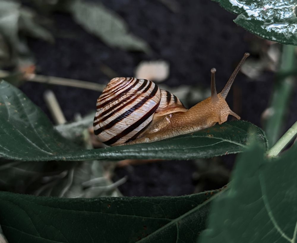 Photograph by Владимир Фролов