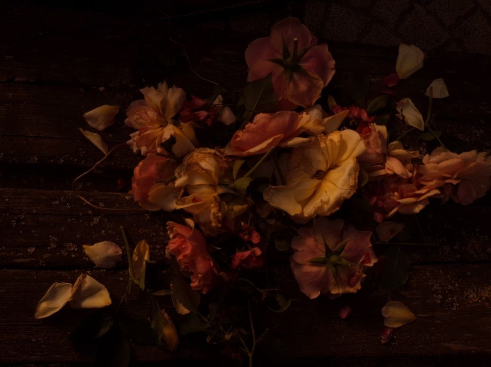 Photograph by Елена Измакова