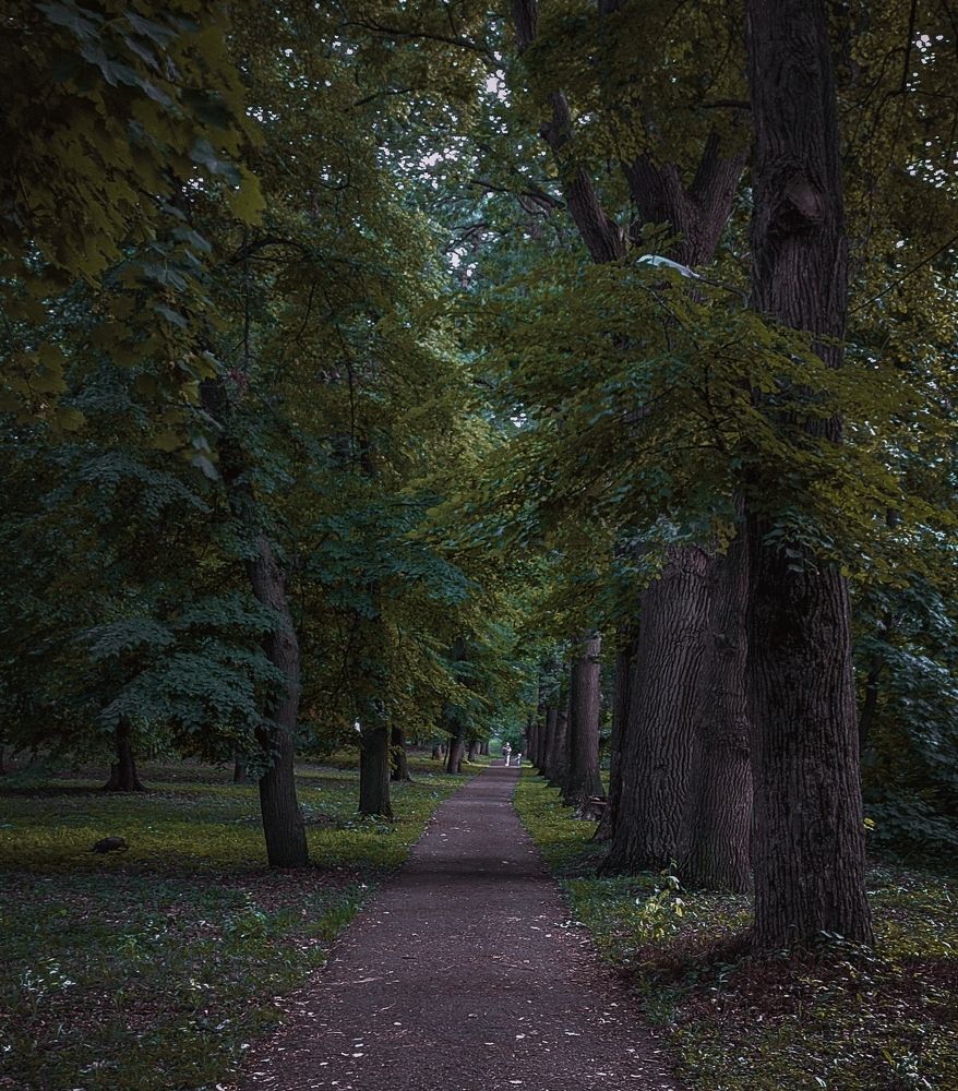 Photograph by Владимир Фролов