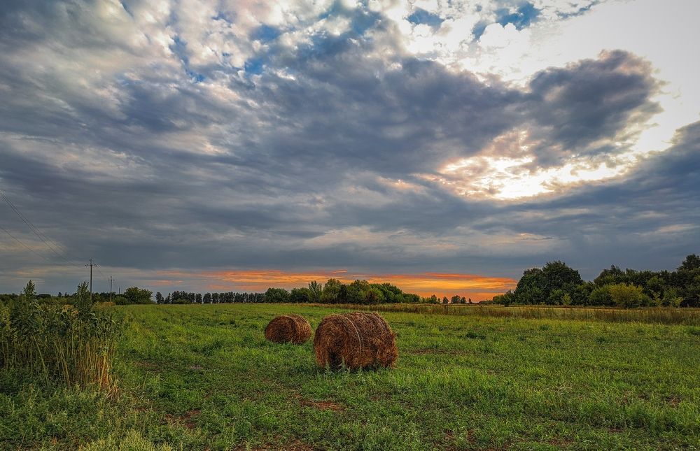 Photograph by Владимир Фролов
