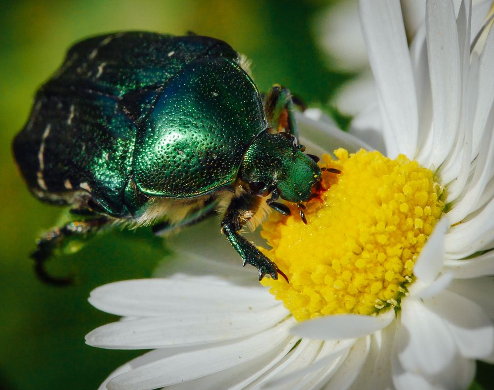 Photograph by Ранчинский Дмитрий