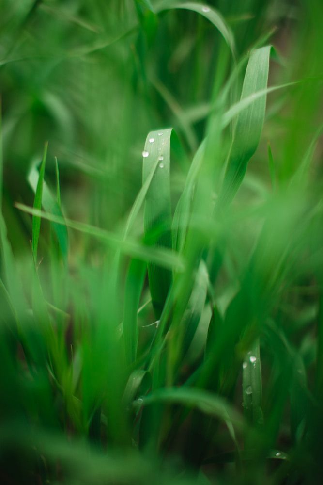 Photograph by Елена Чекменева