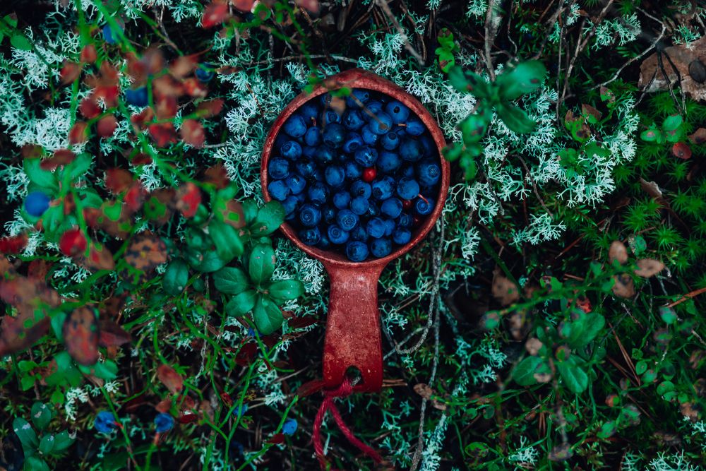 Photograph by Александр Державин