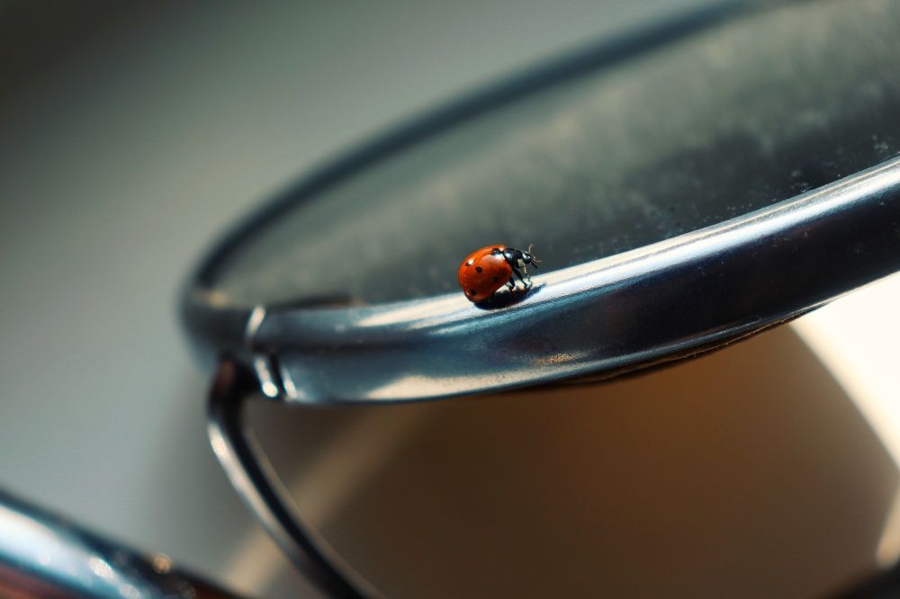 Photograph by Елена Демина