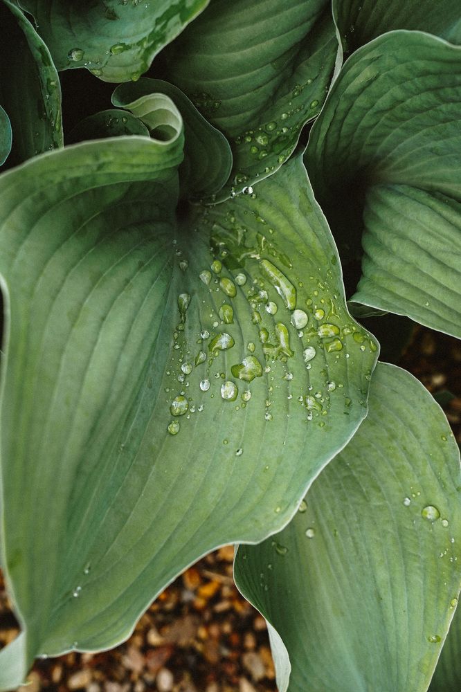 Photograph by Юлия Александровна