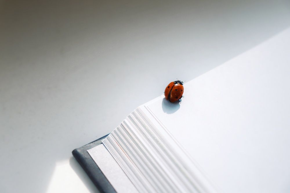 Photograph by Елена Демина