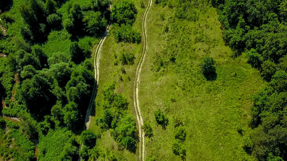 Photograph by Oleg Ki