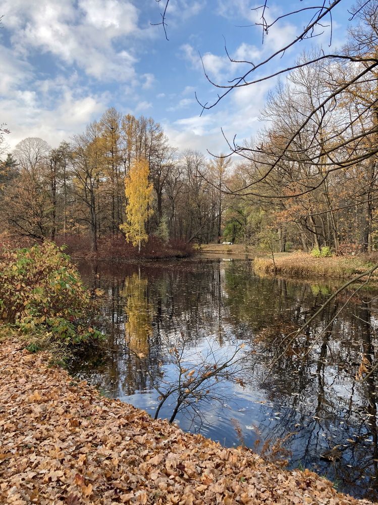 Унылая пора...