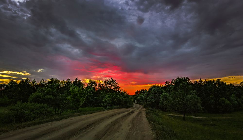 Photograph by Владимир Фролов