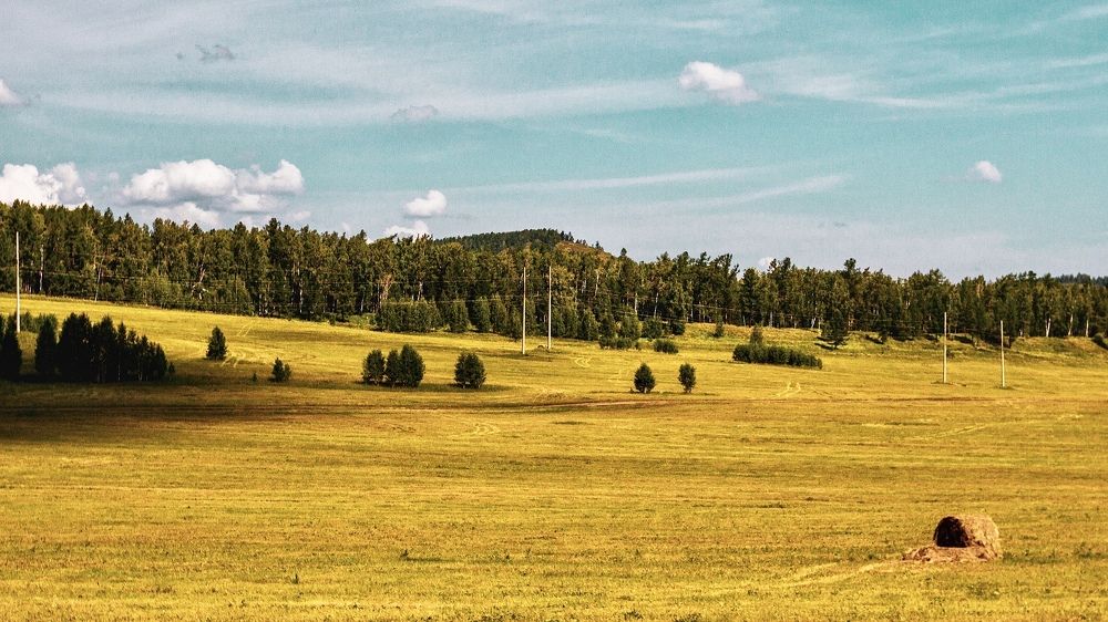 Photograph by Наталья Лапцевич