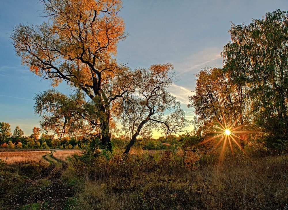 Photograph by Илфир Исламгазин