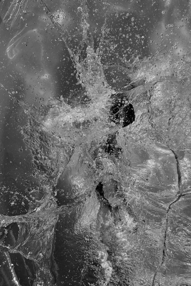 [of an] Endless Summer’22 ‘s Project