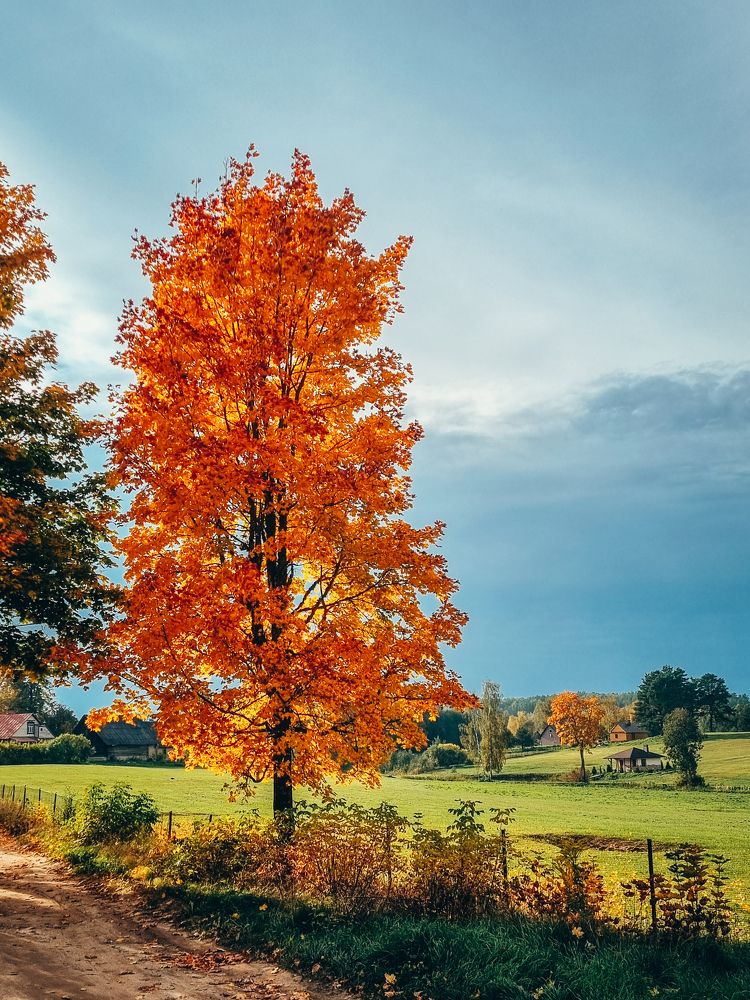 Photograph by Anastasija Petjko