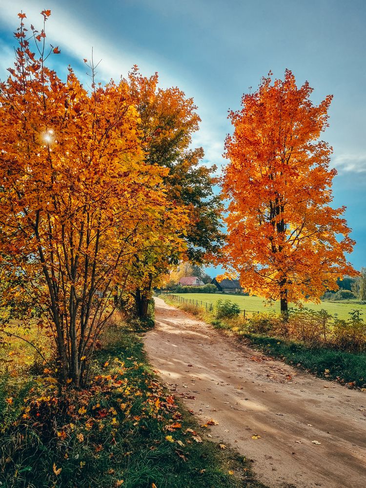 Photograph by Anastasija Petjko