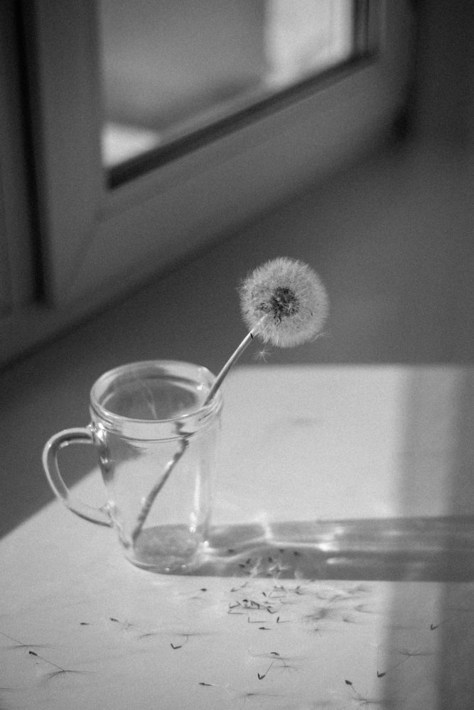 Photograph by Елена Маслова