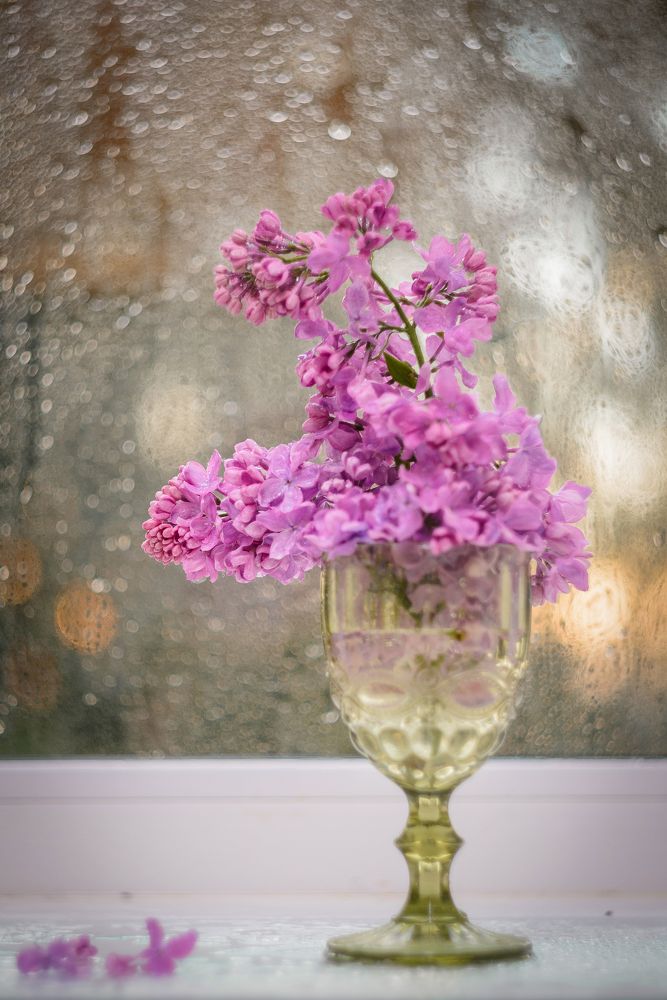 Photograph by Елена Маслова