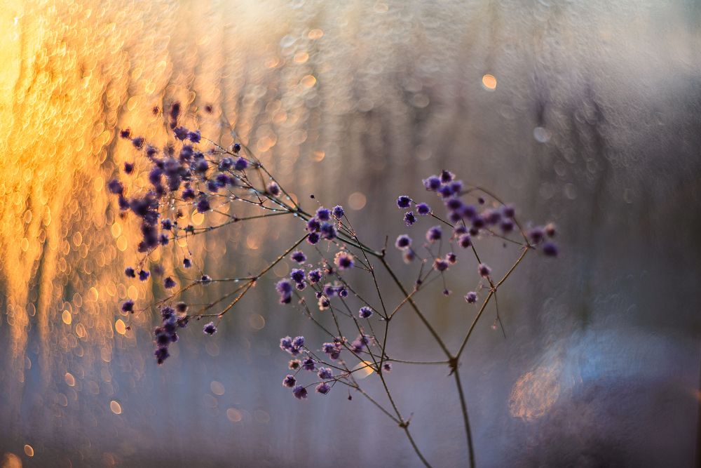 Photograph by Елена Маслова