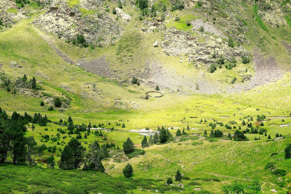 Фотография автора Foto