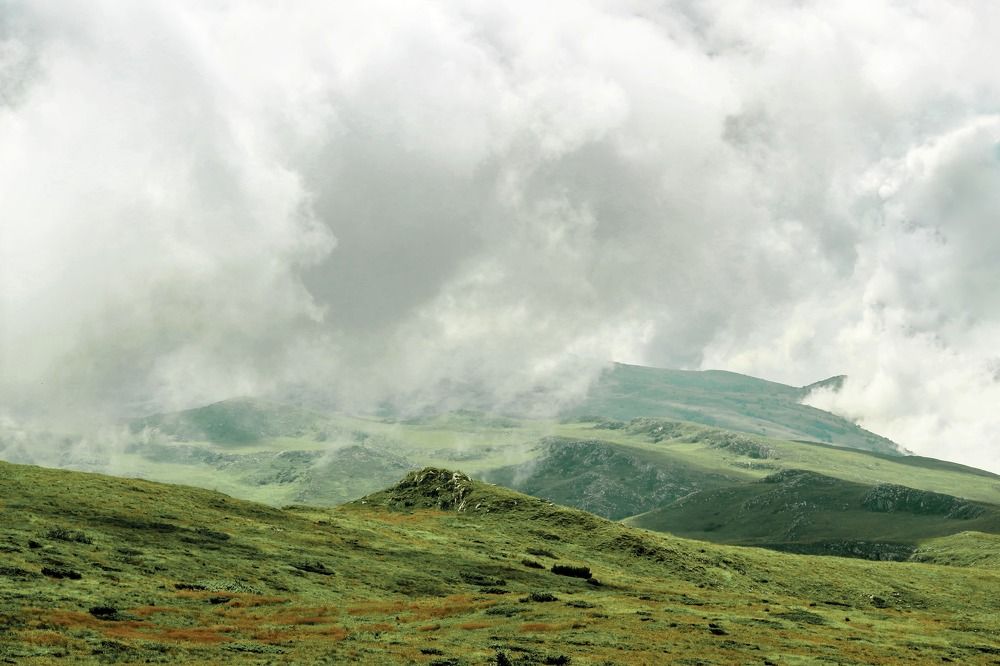 Фотография автора Foto