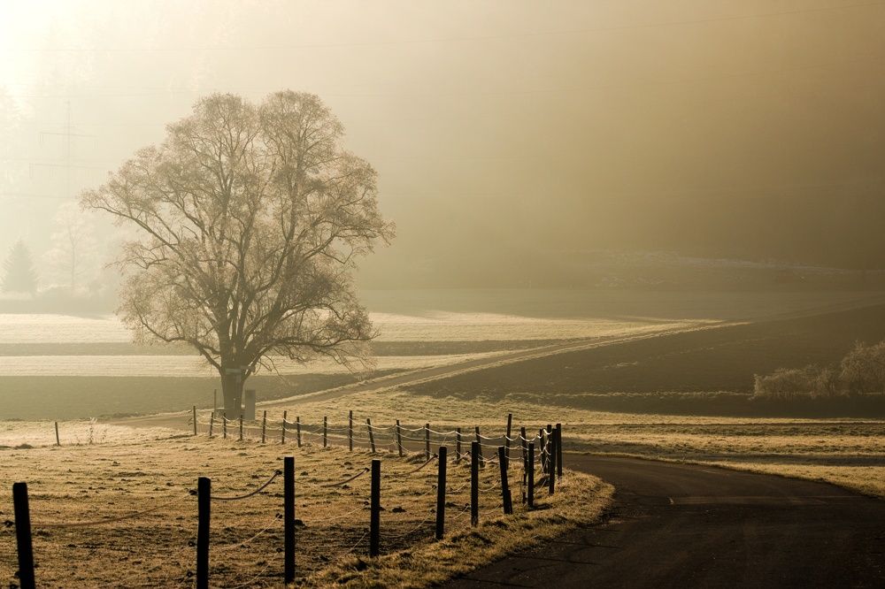 Photograph by Marc Schöner