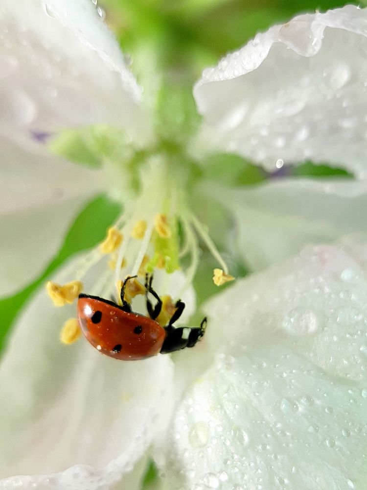 Photograph by Inessa Botasheva