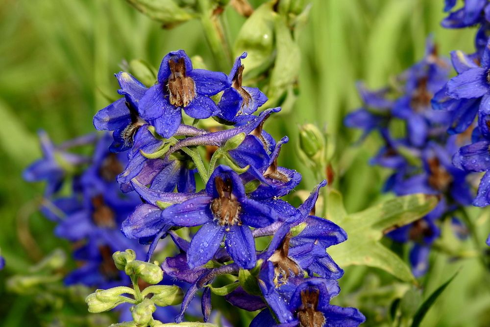 Photograph by Татьяна Калугина