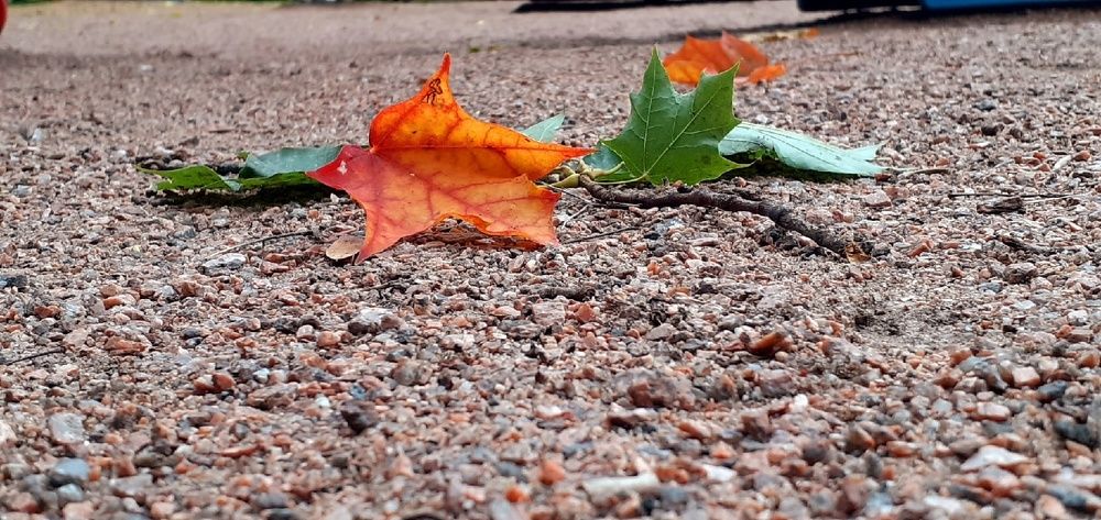 Photograph by Евгения Ульянова