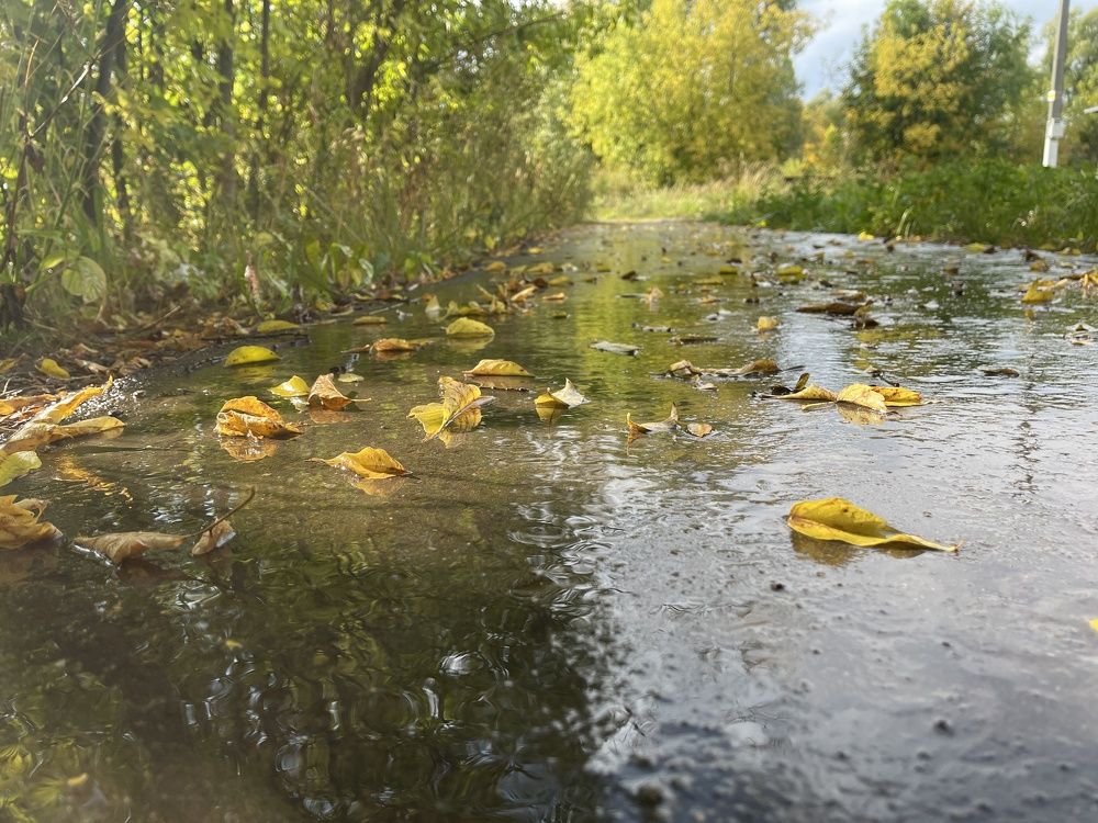 Photograph by Григорий Лыжин