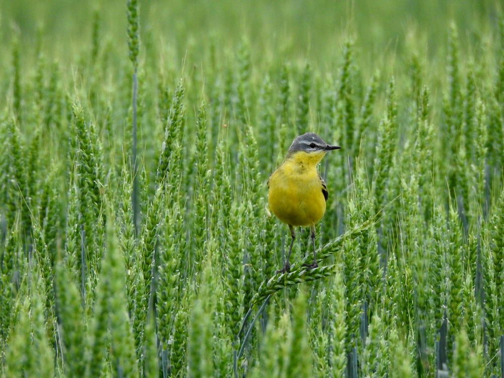 Photograph by Татьяна Калугина