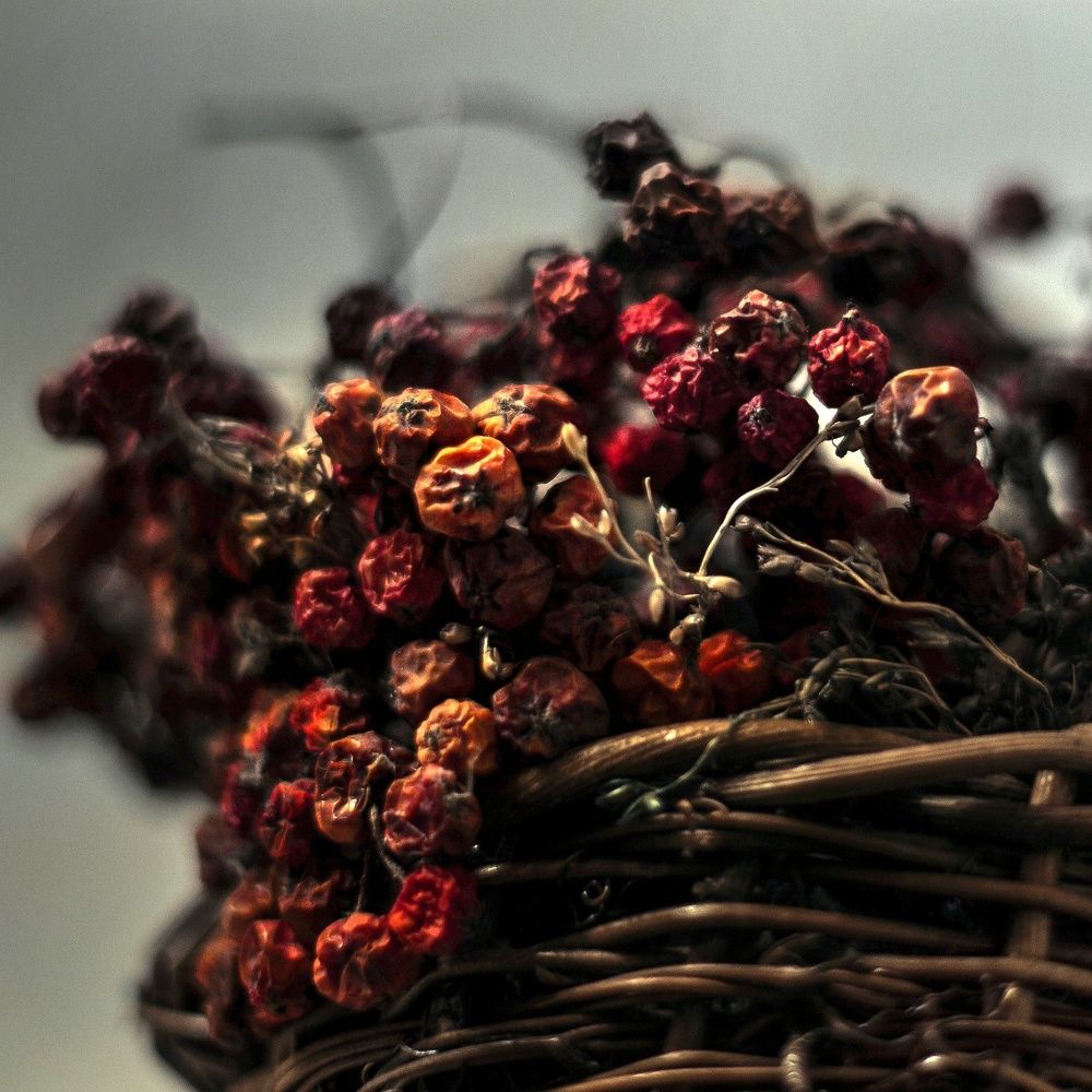 Photograph by Вероника Янина