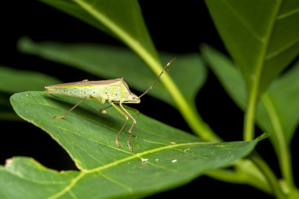 Photograph by Lee Justin Lik Tsz