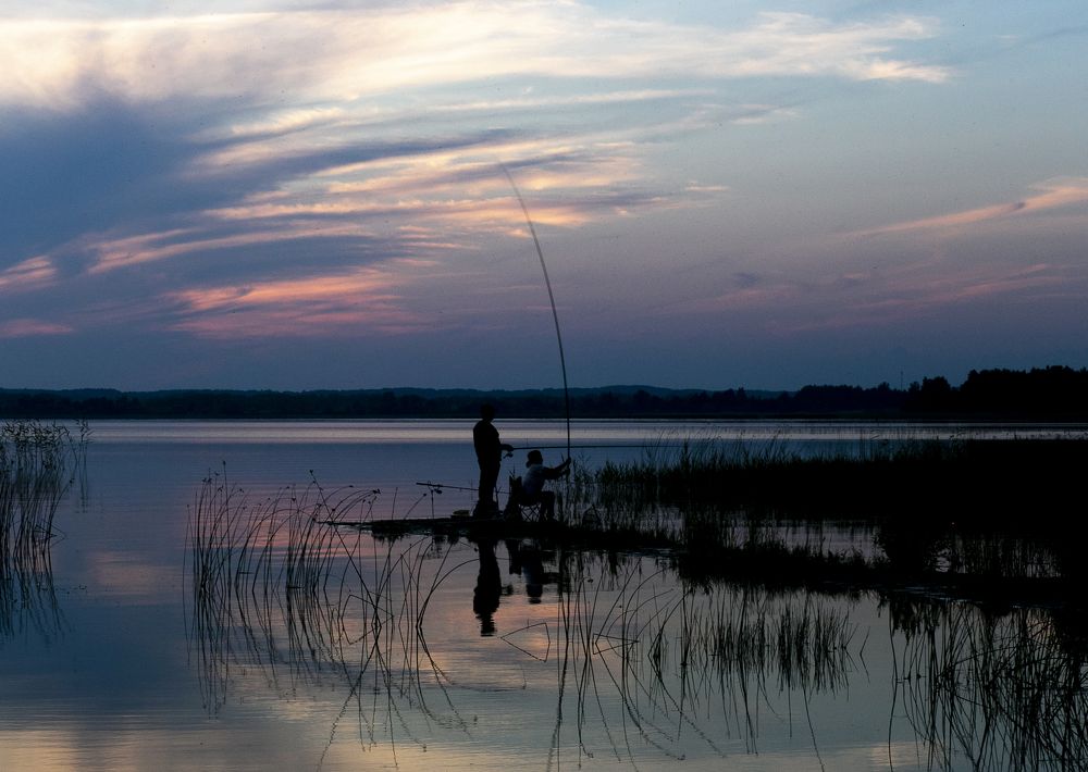 Фотография автора Ольга Матусевич