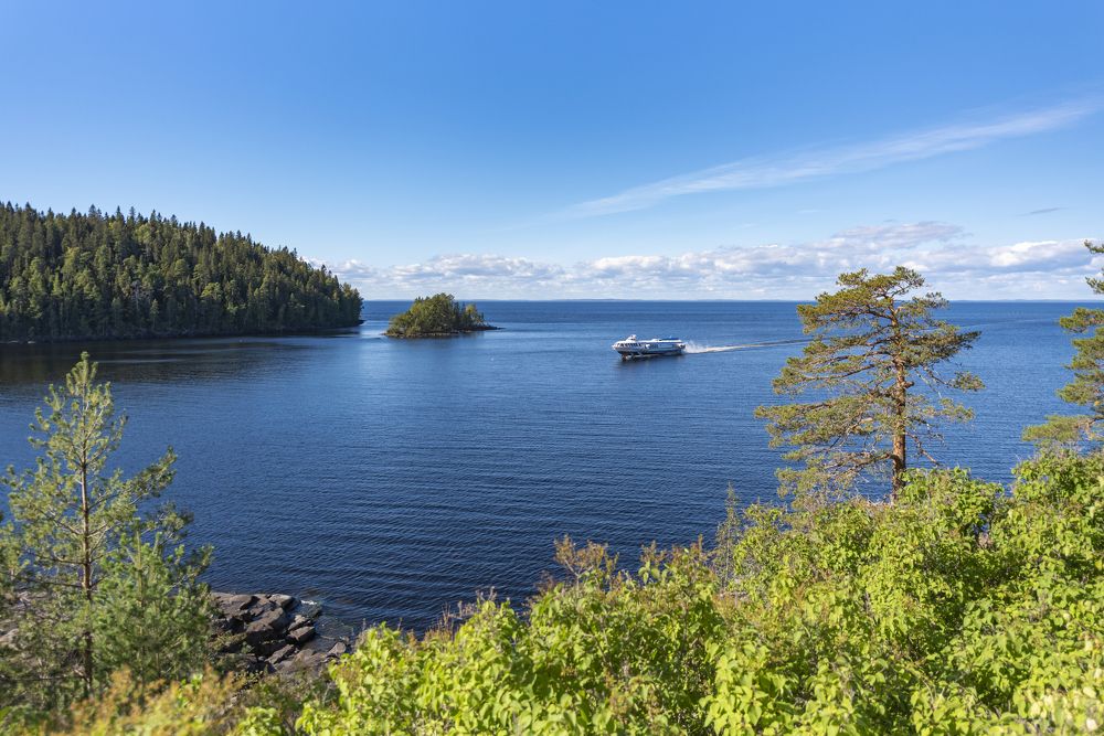 Фотография автора Алексей Новиков