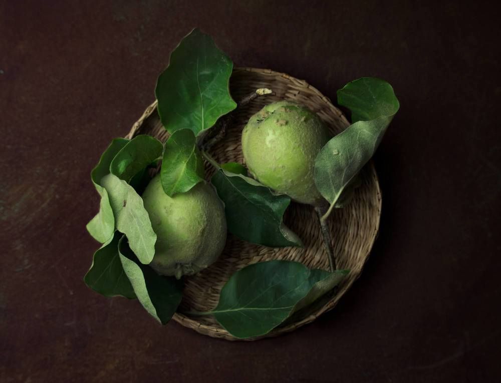 Photograph by Анжелика Костин