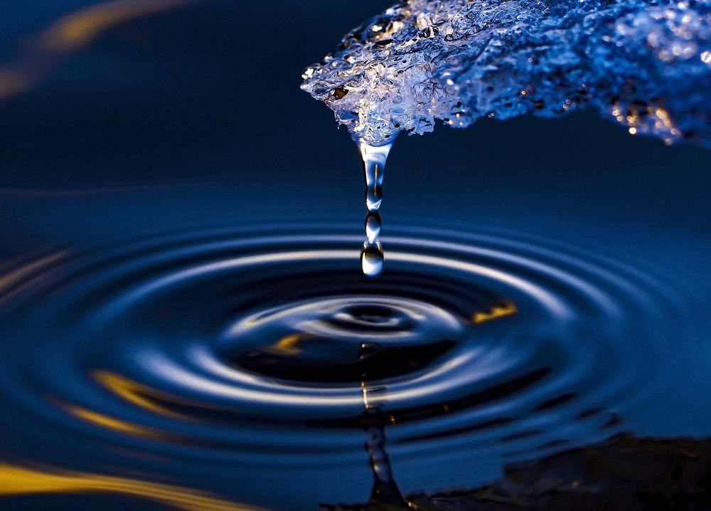 Photograph by Дмитрий Потапов