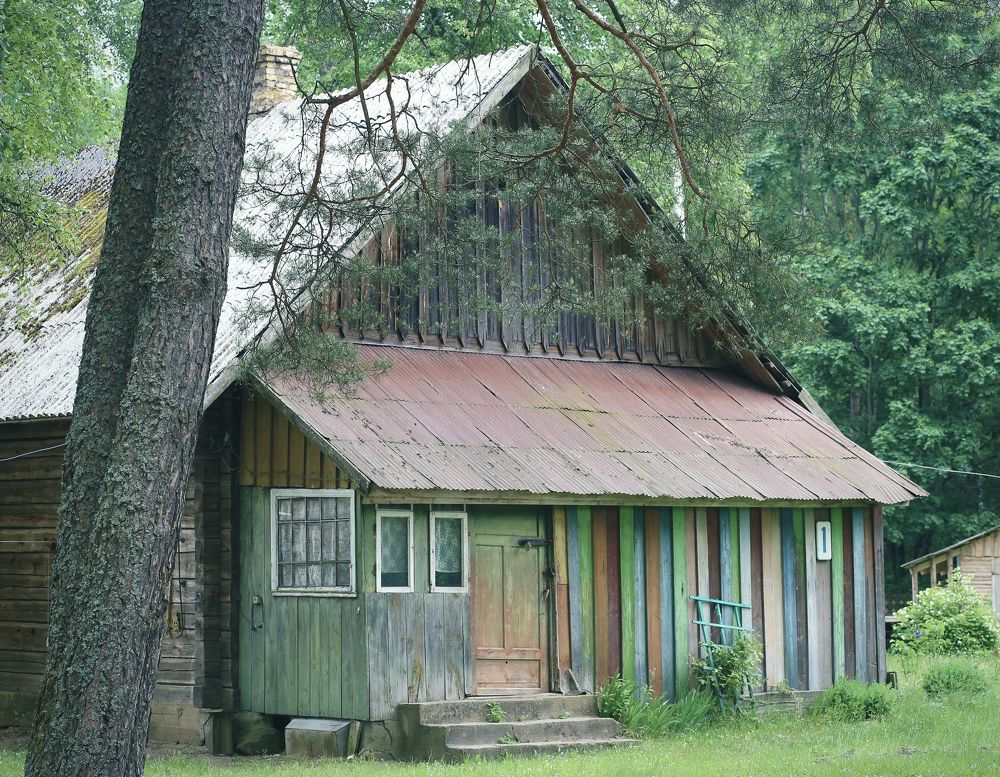 Фотография автора Ольга Матусевич