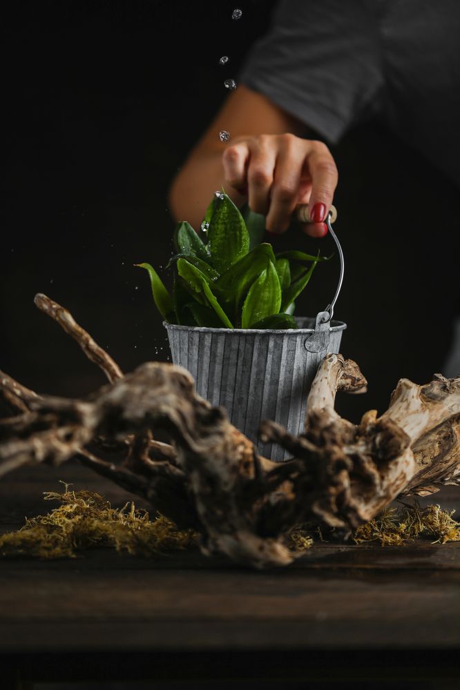 Фотография автора Zhenia Mikhalchenko