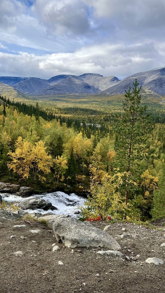 Фотография автора Юлия Шумейко