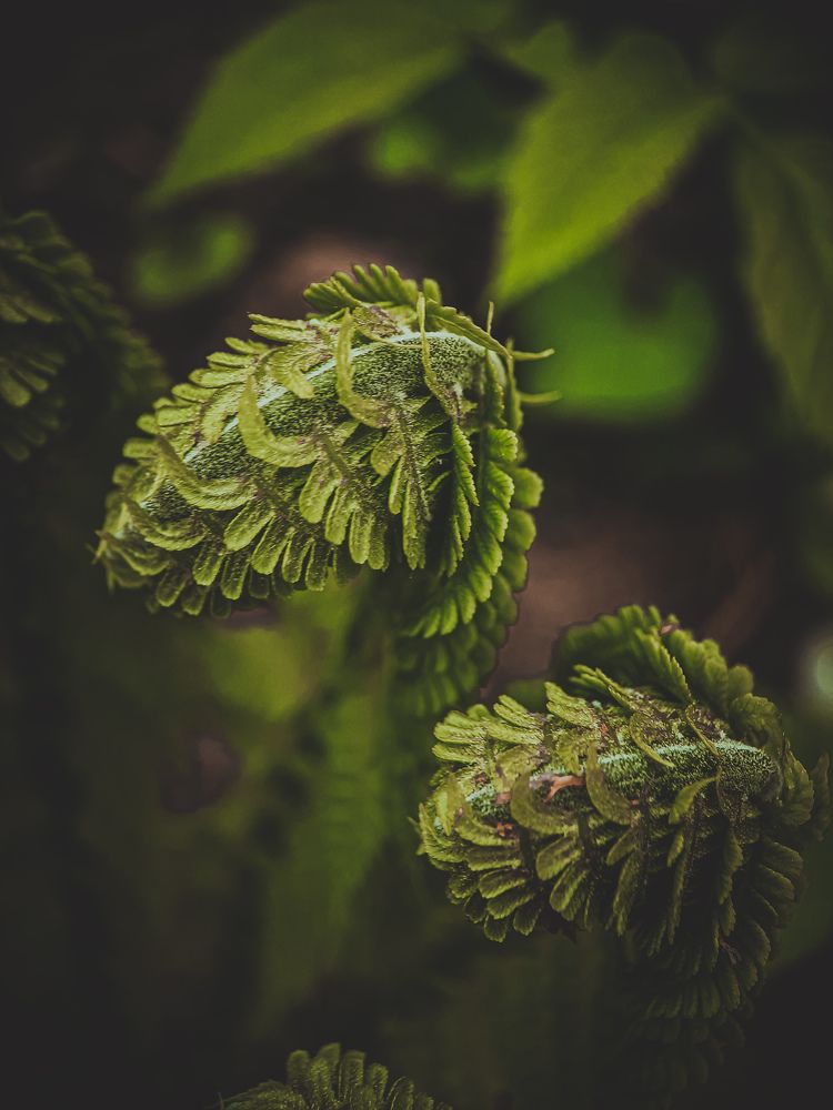 Photograph by Светлана Моисеева