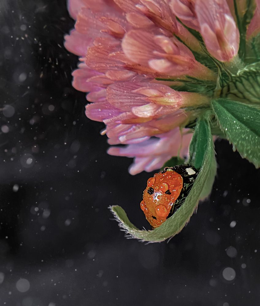 Photograph by KseniTsa