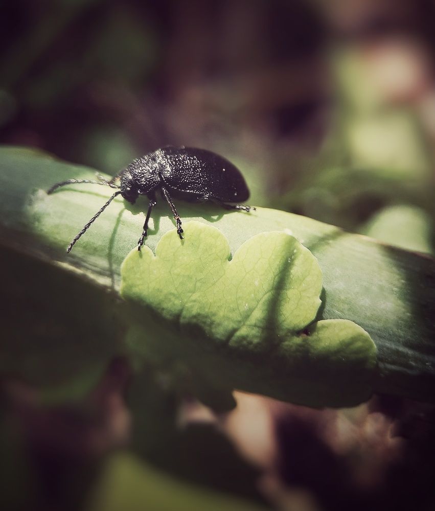 Photograph by Светлана Моисеева