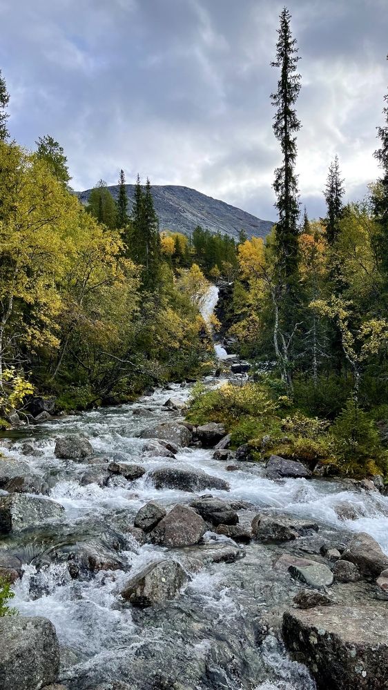 Фотография автора Юлия Шумейко