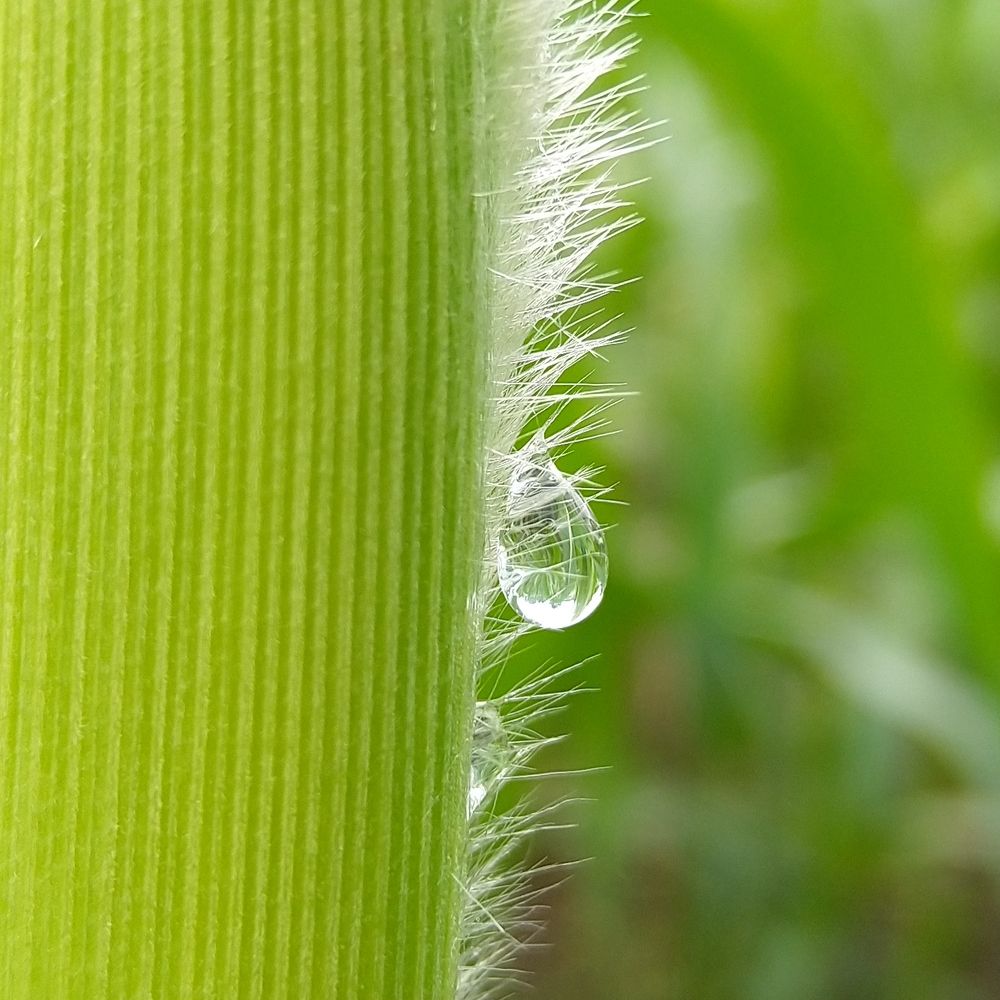 Photograph by sumit sitole