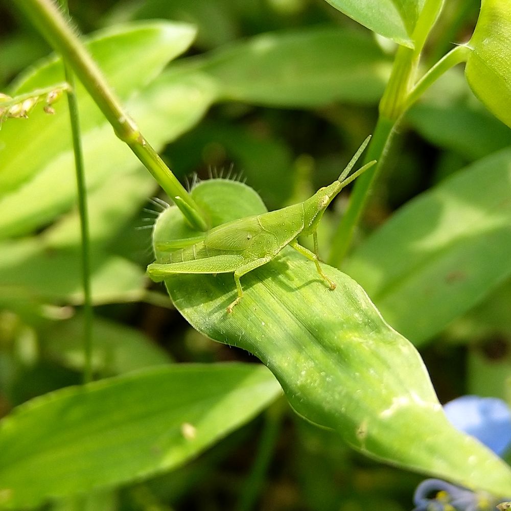 Photograph by sumit sitole