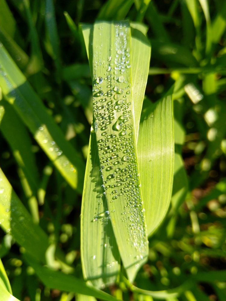 Photograph by sumit sitole