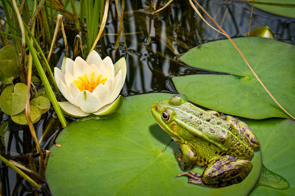 Photograph by Наталия Ковалева