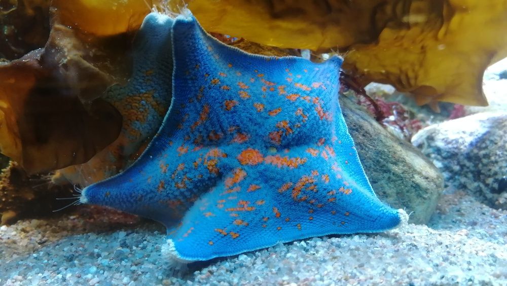 Photograph by Филиппов Олег