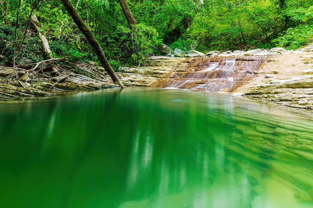 Photograph by Алексей Чеботарев