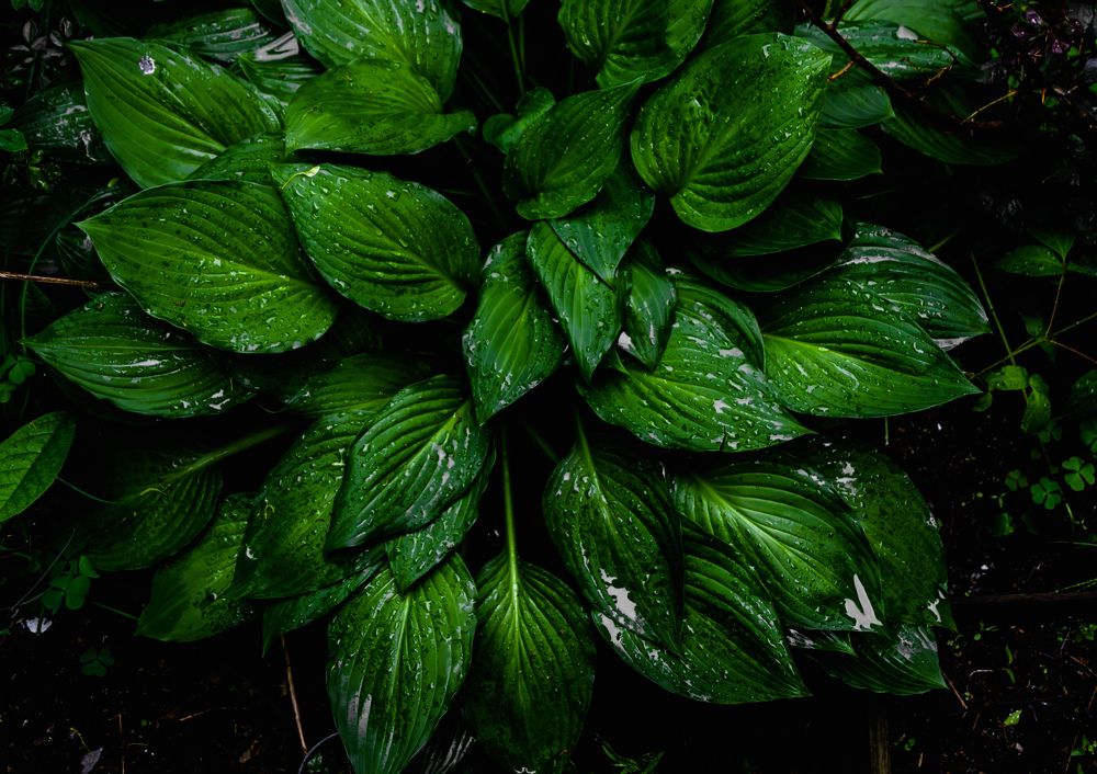 Photograph by Greg Noakes